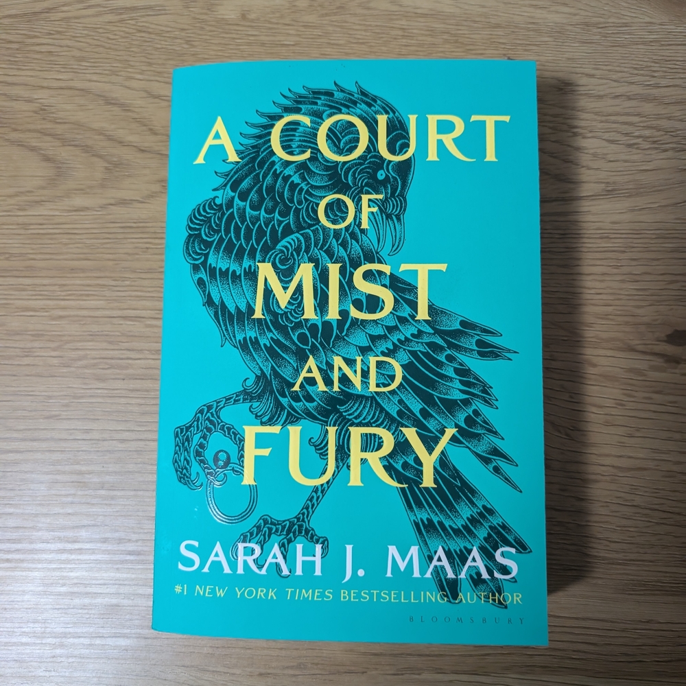 A Court of Mist and Fury Book